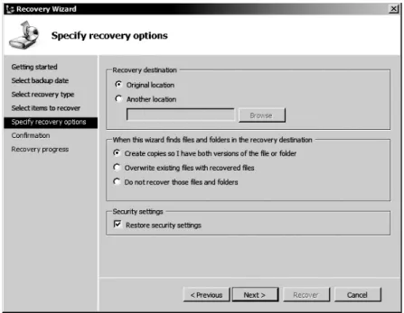 Figure 12-15: Recovery Options 