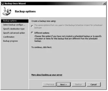 Figure 12-5: Backup Options 