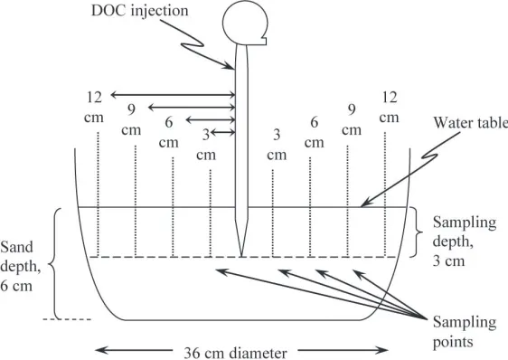 Fig. 1: A diffusion model testing unit on porous medium.