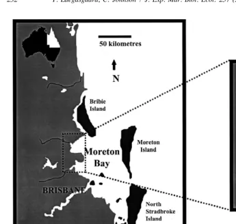 Fig. 1. Map of Moreton Bay with the site of ﬁeld experiments at Deception Bay indicated.