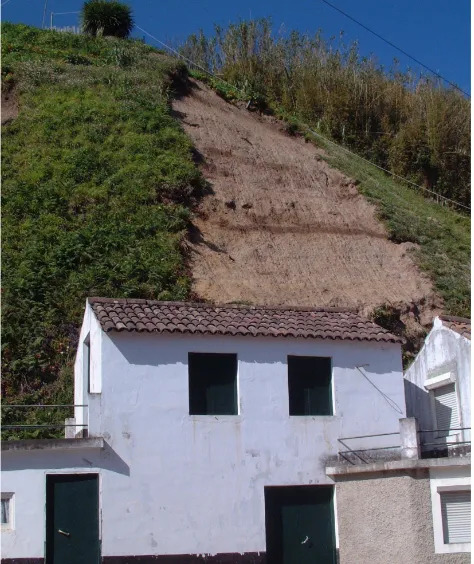 Fig. 4.  Landslide scar generated during the January 2002 episode(Photo from CVARG).