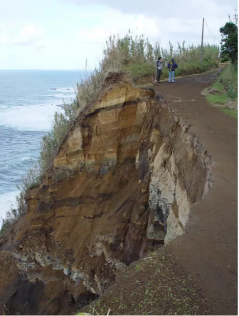Fig. 7.  Road cut in the NW coast of Sete Cidades Volcano as resultof the October 2003 event (Photo from CVARG).