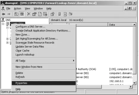 Figure 5-1 Accessing the DNS server properties dialog box