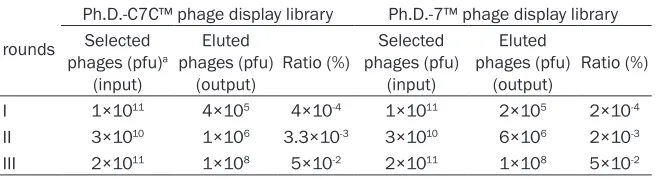 Table 1. Enrichment of phages for each round of selection from phage library