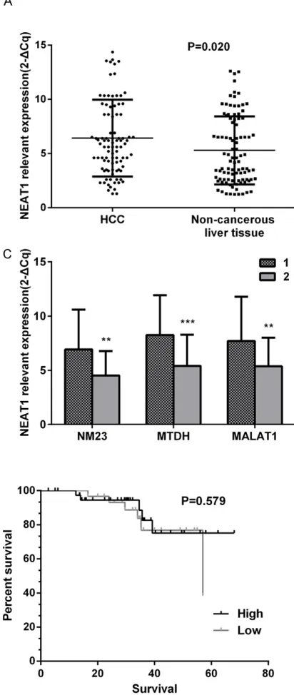 Figure 2. The Kaplan-Meier survival curve for the im-plication of NEAT1 expression in HCC patients.