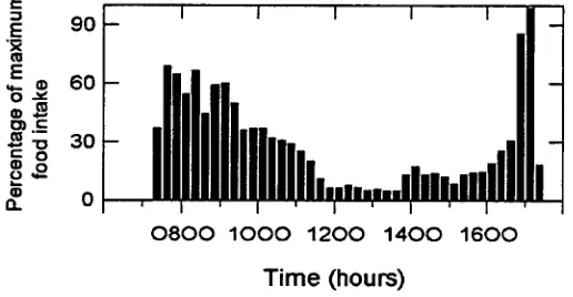 Figure 1.7 Grouped quarter hourly feed intake of 27 days during winter expressed as a percentage of the 