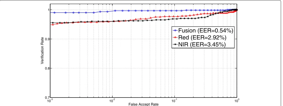Fig. 7 ROC curves showing the iris recognition performance before and after fusing the information of the red and NIR channel