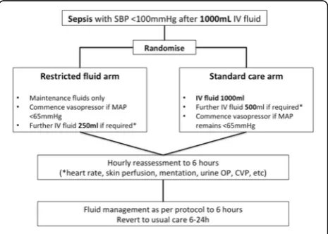 Fig. 1 (abstract P21). Summary of trial interventions