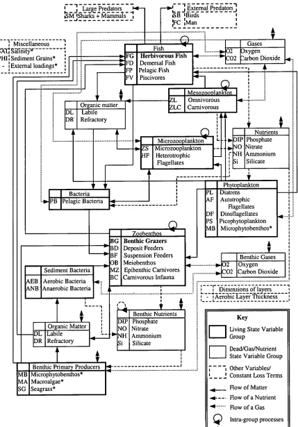 Figure 1.2: Biological and physical interactions between the components used in the Integrated Generic Bay Ecosystem Model IGBEM)