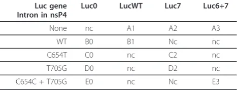Table 1 Combinations of wild-type (WT) and aberrantlyspliced introns used in SFV DNA/RNA layered vectors.