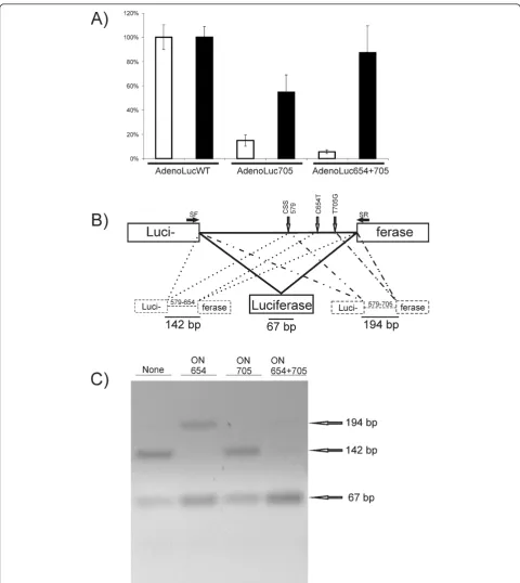 Figure 2 Effects of insertion of an aberrantly spliced intron and SSOs on adenovirus vector