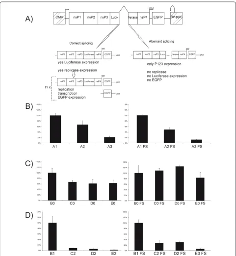 Figure 3 Effects of insertion of aberrantly spliced introns into SFV DNA/RNA layered replicon vectors