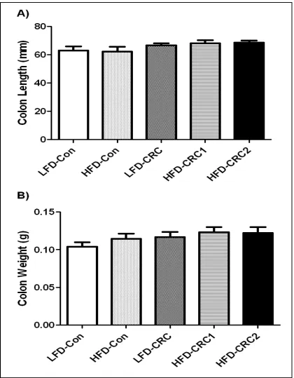 Figure 3.5 The effect of CRC and DSS induced inflammation on (A) colon length and (B) colon weight