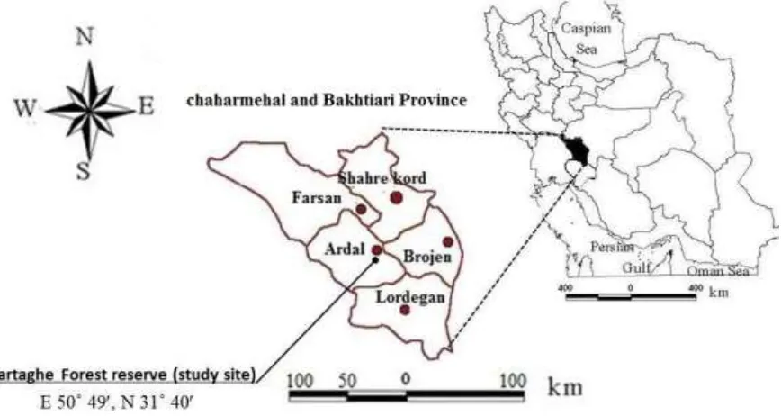 Figure 1: Study site location in the chaharmehal and Bakhtiari Province, Zagros region, and  Western Iranian state of Iran.