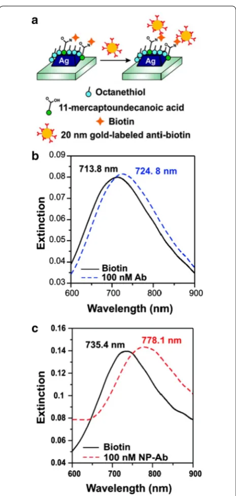 Fig. 1 LSPR biosensors with wavelength shift amplifications using gold nanoparticle‑attached antibodies