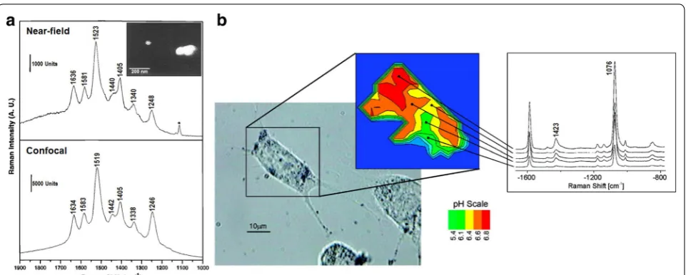 Fig. 2 a Raman spectroscopic intensity of 3‑hydroxykynurenine bound on silver nanoparticles captured by a near‑field probe and a confocal micro‑scope