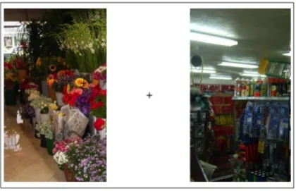 Figure 6.2.  Sample experimental visual display for Experiments 1D, 2 & 3.  