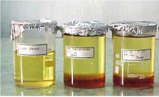 Figure 3. Jatropha biodiesel with glycerol samples  