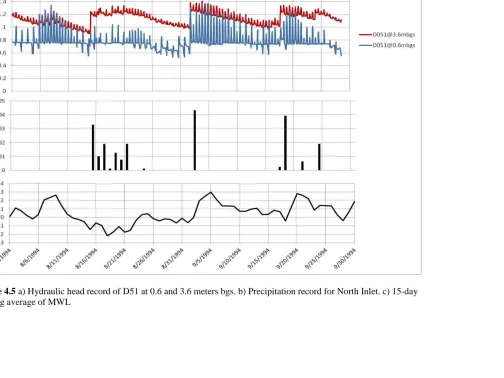 Figure 4.5 a)running average of MWL    Hydraulic head record of D51 at 0.6 and 3.6 meters bgs