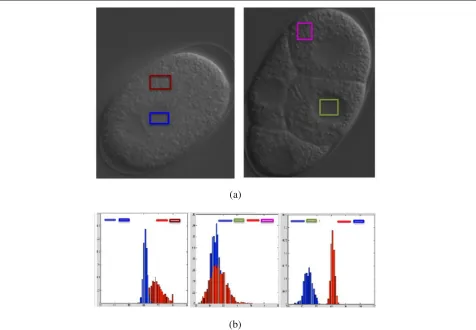 Fig. 1 The statistical analysis of intensity distribution from cytoplasmic and nuclear regions