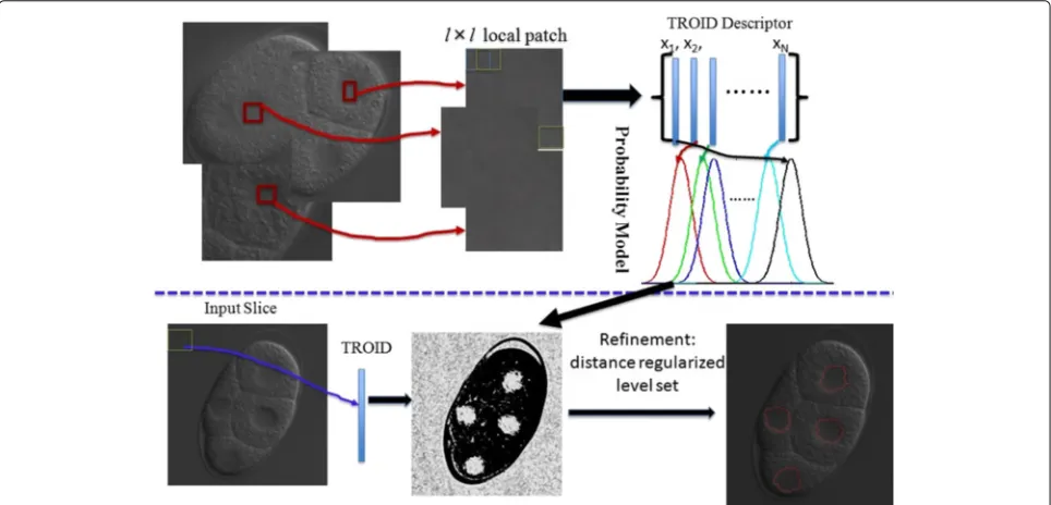 Fig. 2 The proposed nuclear detection framework. Thewhich are used as the input vector for constructing the nuclear models