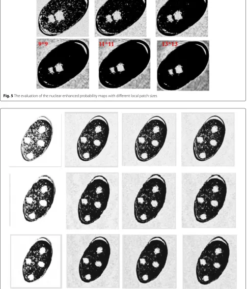 Fig. 5 The evaluation of the nuclear-enhanced probability maps with different local patch sizes