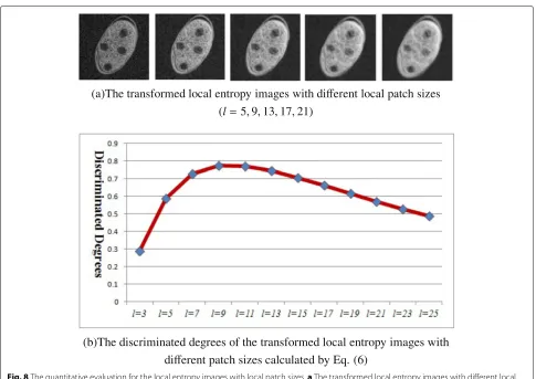 Fig. 8 The quantitative evaluation for the local entropy images with local patch sizes