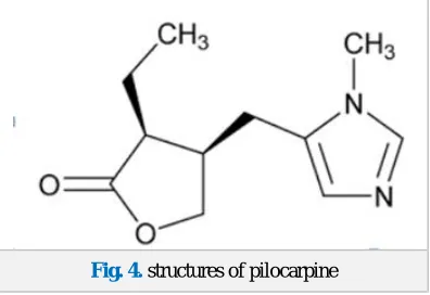 Fig. 5. structure of caffeine 