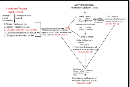 Figure 1.1 Schematic Overview of the Project. Specific Aims (I-IV) of the project is also outlined