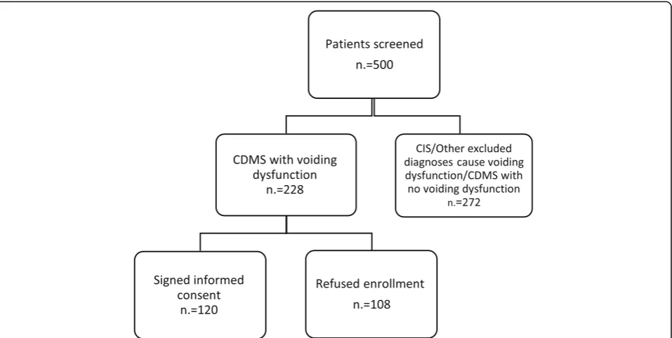 Fig. 1 Disposition of the study population. CDMS, clinically definite multiple sclerosis; CIS, clinically isolated syndrome
