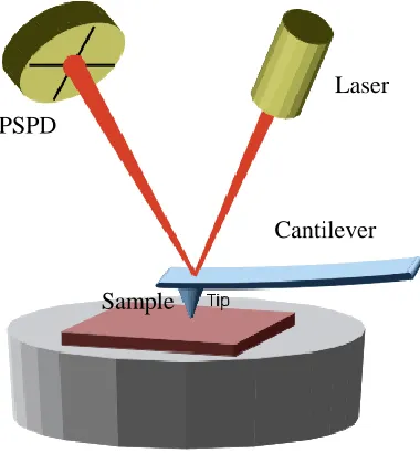 Figure 3.4: Simplified schematic diagram of optical transduction system used in atomic force microscope