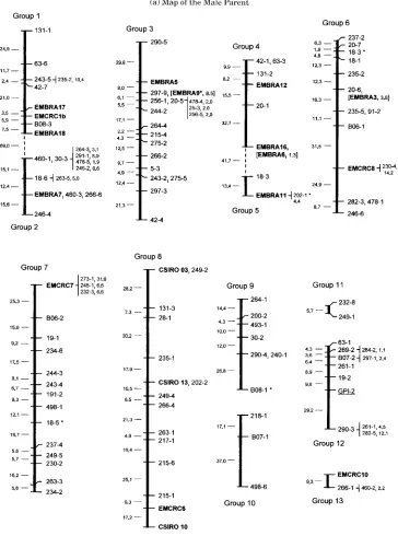 Table I. - The source, amplifiability and informativeness of microsatellite loci used for mapping.