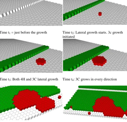 Figure 1.8 Step by step animation of a step flow growth and 3C inclusion during step flow growth
