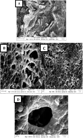 Fig. 3. SEM images of bare pencil graphite electrode A with the p-aminobenzene sulfonic acid/Benzo-18-crown-6/CNTs modified PGE B, C and D at different magnifications 
