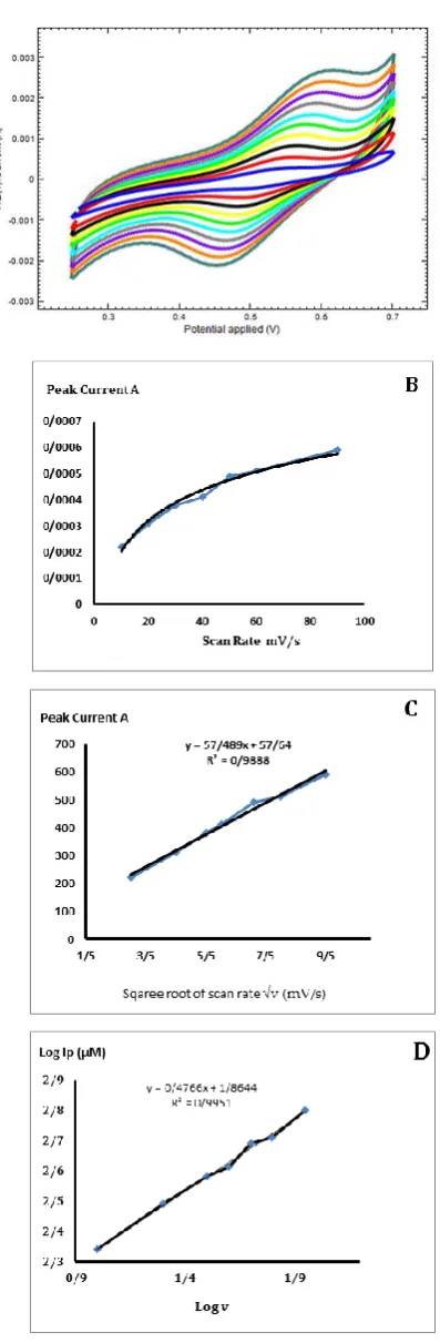 Fig. 5. A. The effect of scan rates (mV/s) on the peak current (Ip/