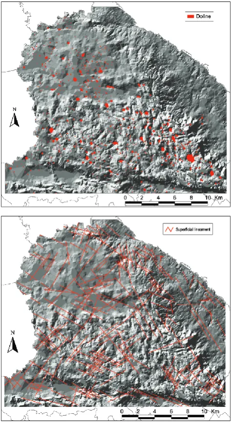 Fig. 2. Digital elevation model of the study area based on the con-tour lines of the 1:25000 topographical map overlaid by: (a) dolinedistribution collected by stereoscopic aerial photograph analysis;(b) arrangement of superﬁcial lineaments collected by multispec-tral analysis of satellite images