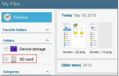 Figure 11- My Files Icon 