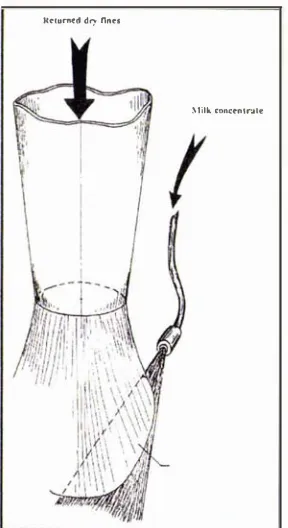 Figure 2.3: Agglomeration of milk powder using a nozzle atomiser (Chen, 1 992). 