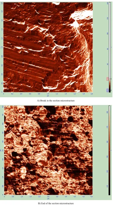Figure 3. Microstructure of the vacancy cluster tubes surface of the Al-VCT sample, obtained with atomic force microscopy (AFM) using a Femto Skan and Solver probe microscope, P47