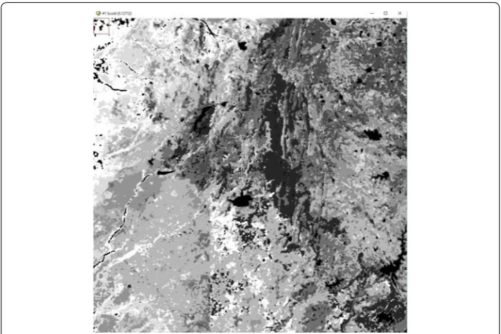 Fig. 6 8k image file after being clustered and plotted (cluster visualization from ENVI)