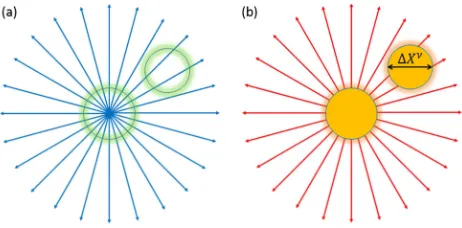 Figure 1. The shielding model of physical field in the region occupied by source charge: (a) no shielding effect for the gravitational interaction force, (b) there are shielding effects for the non-gravitational interaction forces
