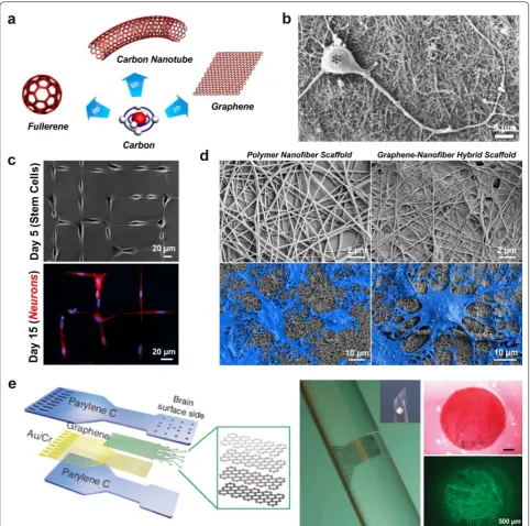 Fig. 8 Carbon-based nanomaterials. a Carbon nanomaterials include zero-dimensional fullerenes, one-dimensional carbon nanotubes (CNTs), and two-dimensional graphene