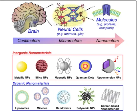 Fig. 1 The nanomaterial toolkit for neuroengineering. Schematic depicting the anatomical organization of the brain at different size scales (top) and the different types of inorganic and organic nanomaterials which have been utilized for neuroscience