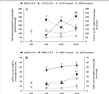 Fig. 5 a Relation between liver uncoupling protein 2 (UCP 2) mRNA gene expression and liver mitochondrialH2O2 production