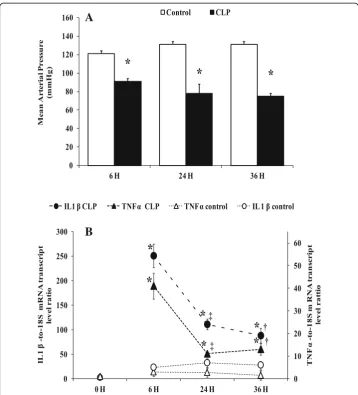 Table 1 Plasma alanine amino transferase (ALT), and lactic acid in control and CLP groups overtime