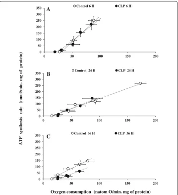 Fig. 2 Mitochondrial oxygen consumption and oxidative phosphorylation efficiency. Oxidative phosphorylationefficiency of liver mitochondria from sham-operated control (open symbols) and CLP rats (close symbols).Succinate plus rotenone were used as substrat
