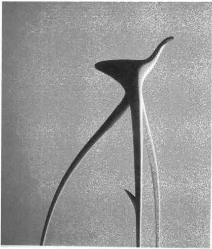 Figure 30. Phillippe Stark, W.W.Stool, 1990. 