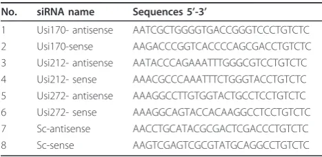 Table 1 Sequence of siRNA oligonucleotides directedagainst 5’UTR of HCV 3a genotype