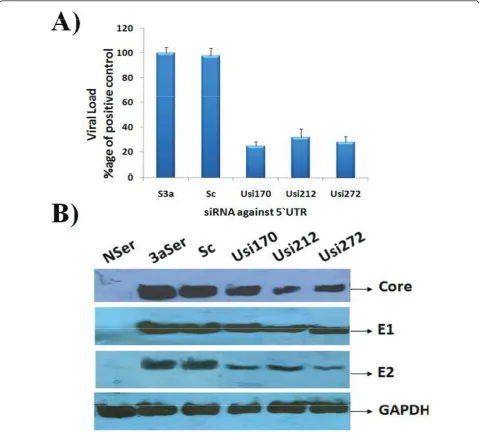 Figure 3 Silencing effect of HCV 3a genes-specific siRNAs in Huh-7 cells infected with HCV 3a sera