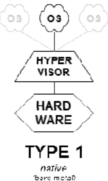 Fig. A 1.5. Type 1 Hypervisor. 
